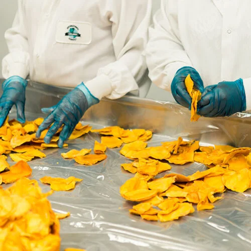 INDUSTRIA DE ALIMENTOS